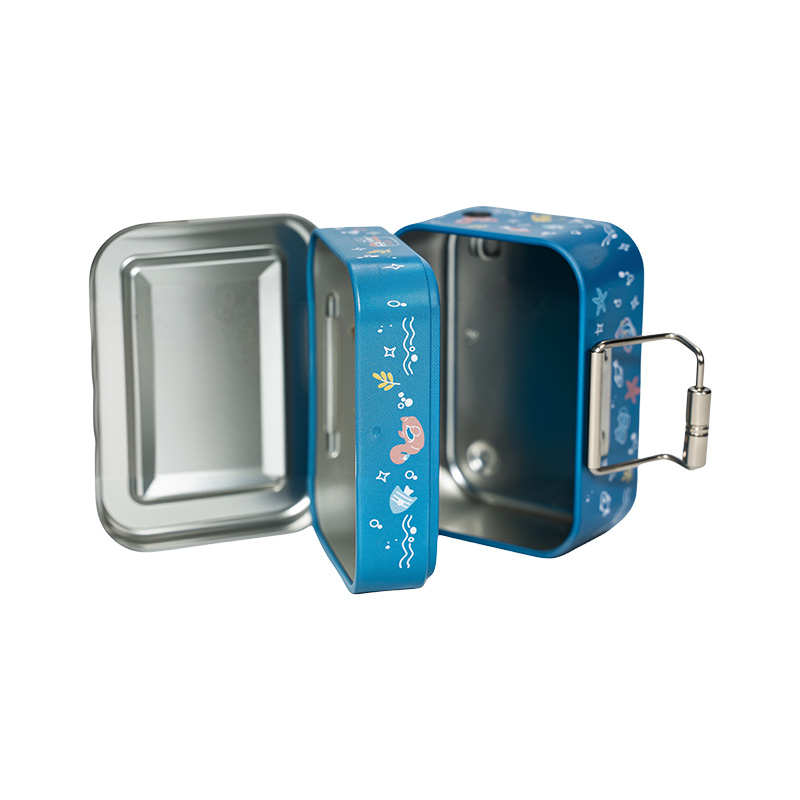 Special-Shaped Tin Cans