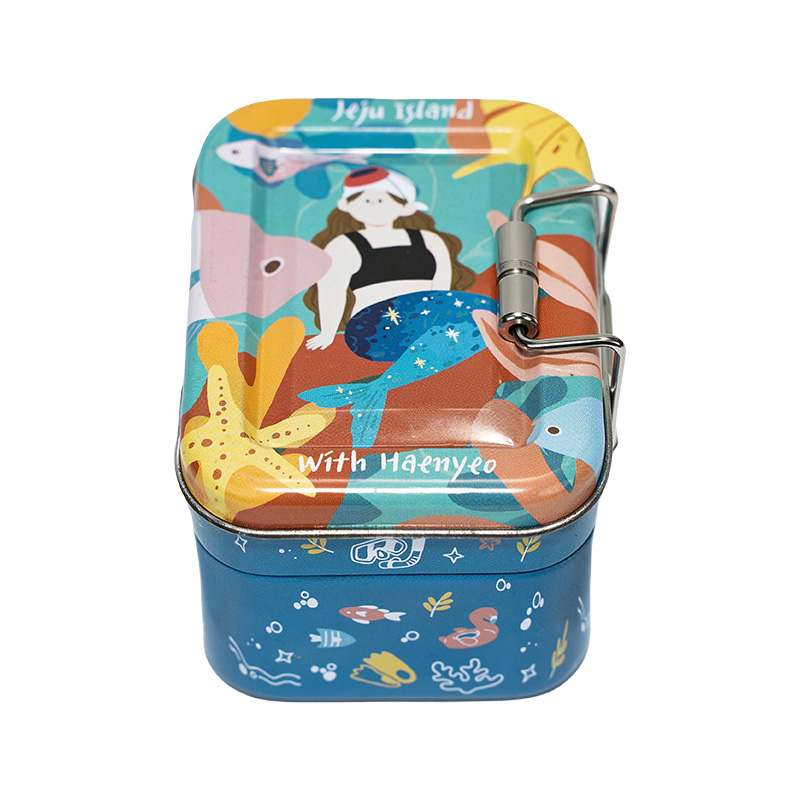 What are the unique advantages of special-shaped tin cans in packaging design?